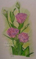 Blumen Buntstift A4
