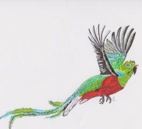 Quetzal A4