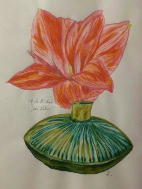 Vase mit Amaryllisblüte